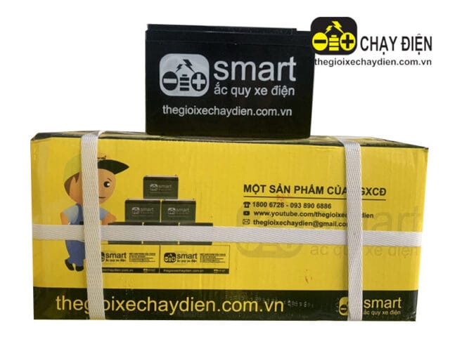 Ắc quy Smart mới chính hãng cho xe đạp điện