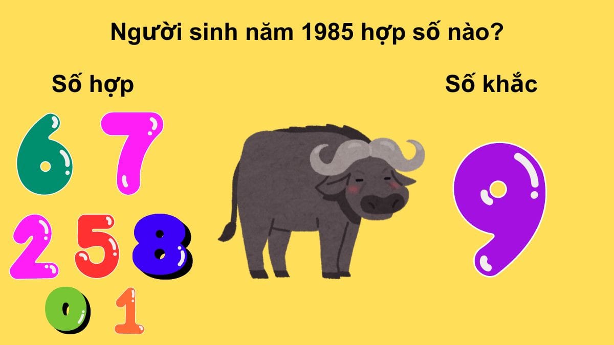 Các con số 6, 7, 2, 5, 8, 0, 1 mang lại may mắn cho tuổi Sửu 1985