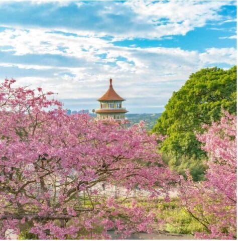 Dịch vụ gửi hàng đi Đài Loan ra đời nhằm phục vụ nhu cầu ngày càng tăng cao