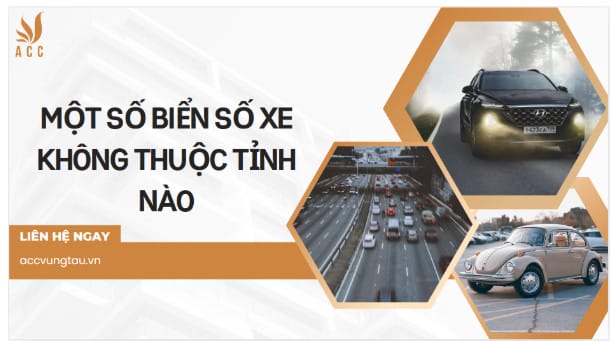 Hình ảnh biển số xe màu xanh với số 13 rõ ràng, minh họa biển số dự phòng hoặc biển số giả