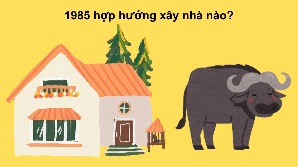 Hướng Tây, Tây Bắc, Đông Bắc, Tây Nam hợp với nam 1985 và Nam, Đông, Đông Nam, Bắc hợp với nữ 1985 khi xây nhà