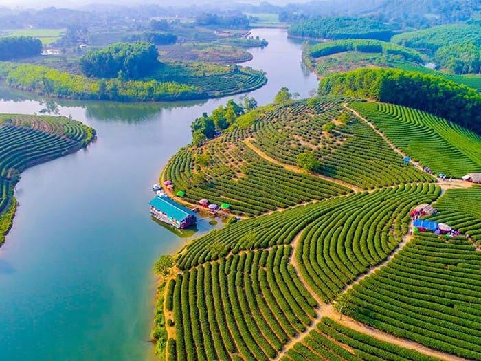 Khách hàng hài lòng trải nghiệm dịch vụ xe ghép Nghệ An Hà Nội chất lượng cao.