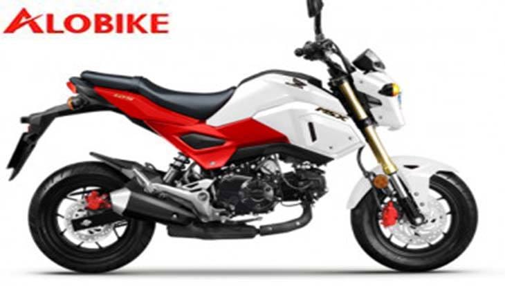 MSX 125 phiên bản đỏ trắng, thiết kế trẻ trung và năng động