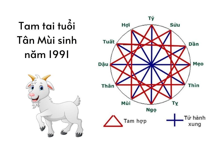 Nam 1991 cung gì cần thận trọng trong năm Tam Tai