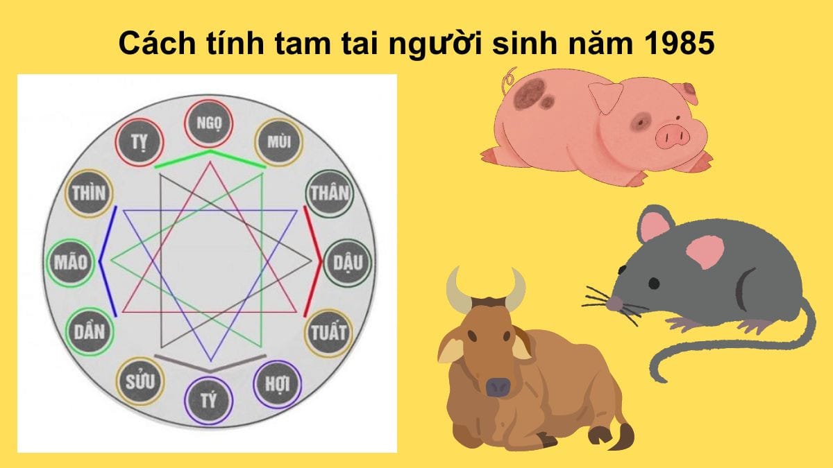 Người tuổi Ất Sửu 1985 gặp hạn tam tai vào các năm Hợi, Tý, Sửu