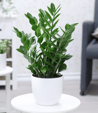 tuổi 83 mệnh gì