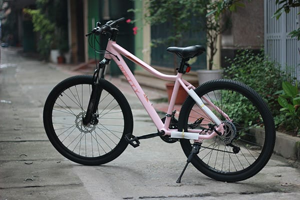 Xe đạp địa hình Pretty Curvy màu hồng ấn tượng