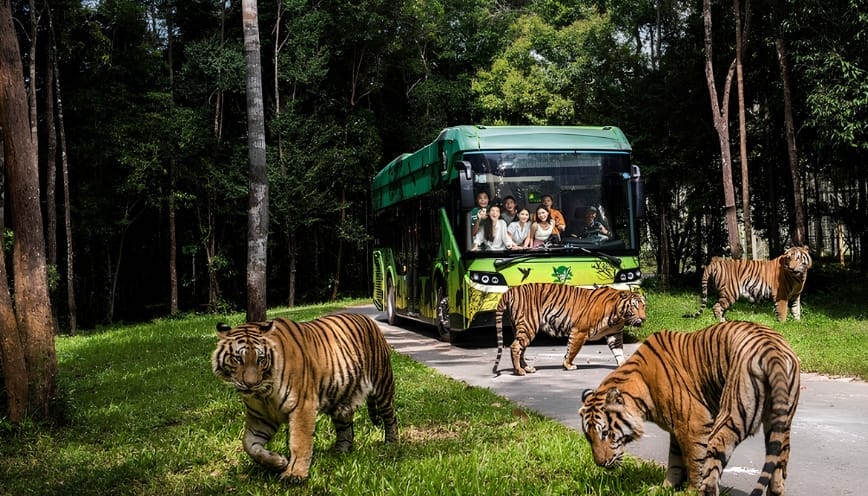 Khu vườn thú Safari mở sinh động